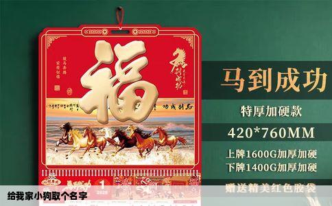 给我家小狗取个名字