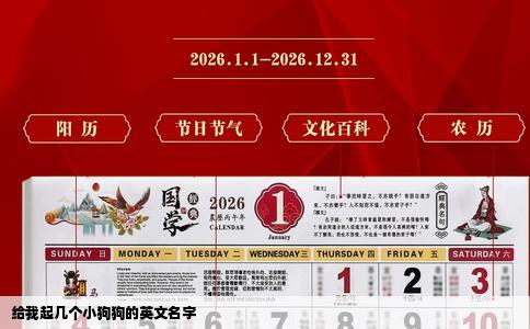 给我起几个小狗狗的英文名字