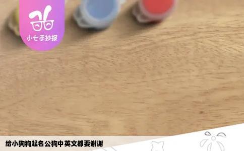 给小狗狗起名公狗中英文都要谢谢