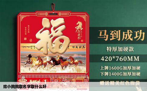 给小狗狗取名字取什么好