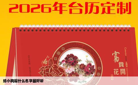 给小狗起什么名字最好听