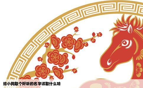 给小狗取个好听的名字该取什么哈