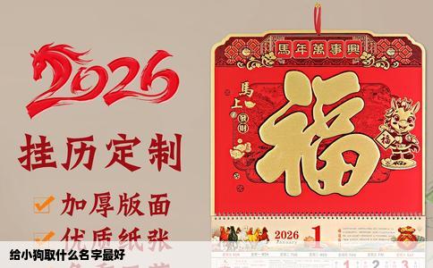 给小狗取什么名字最好