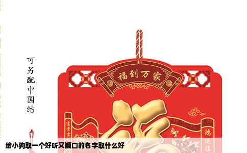 给小狗取一个好听又顺口的名字取什么好
