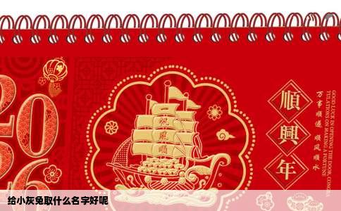 给小灰兔取什么名字好呢