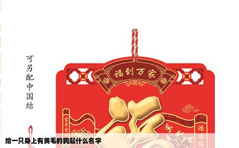 给一只身上有黄毛的狗起什么名字