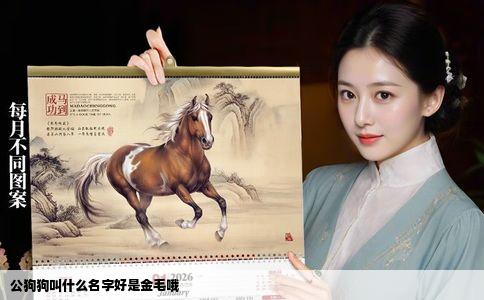 公狗狗叫什么名字好是金毛哦