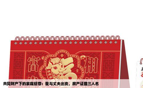 共同财产下的家庭纽带：我与丈夫出资，房产证载三人名