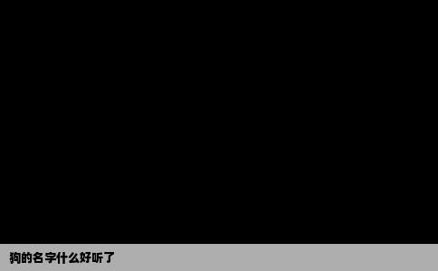 狗的名字什么好听了