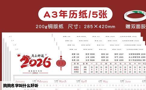 狗狗名字叫什么好听