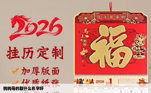 狗狗母的取什么名字好