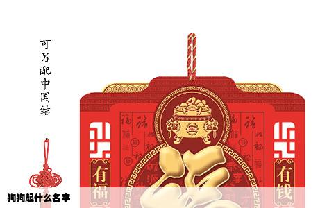 狗狗起什么名字