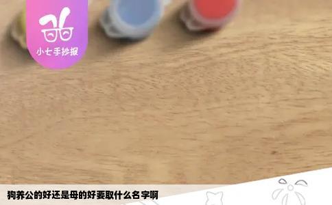 狗养公的好还是母的好要取什么名字啊