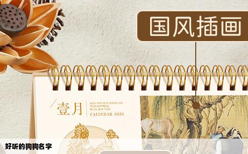 好听的狗狗名字