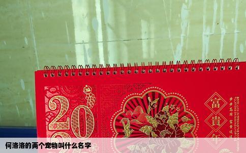何洛洛的两个宠物叫什么名字