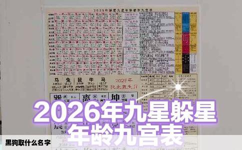 黑狗取什么名字