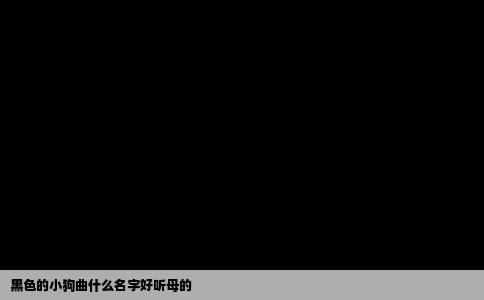 黑色的小狗曲什么名字好听母的