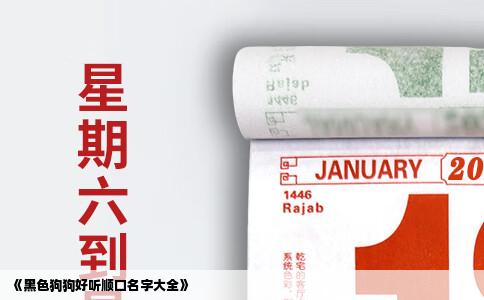 《黑色狗狗好听顺口名字大全》