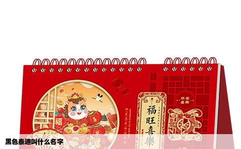 黑色泰迪叫什么名字