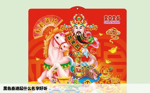 黑色泰迪起什么名字好听