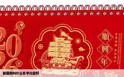 狐狸狗叫什么名字比较好