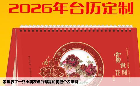 家里养了一只小狗灰色的帮我的狗取个名字啊