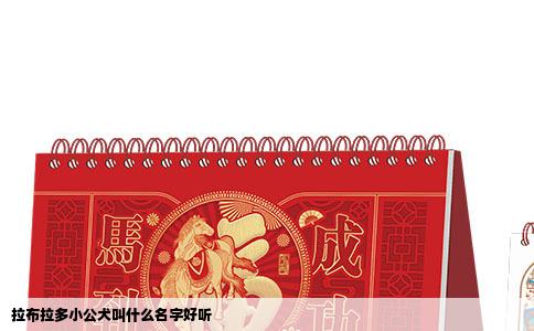 拉布拉多小公犬叫什么名字好听