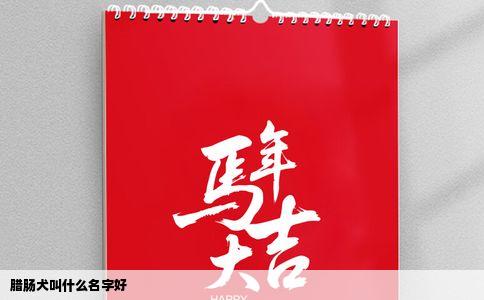 腊肠犬叫什么名字好