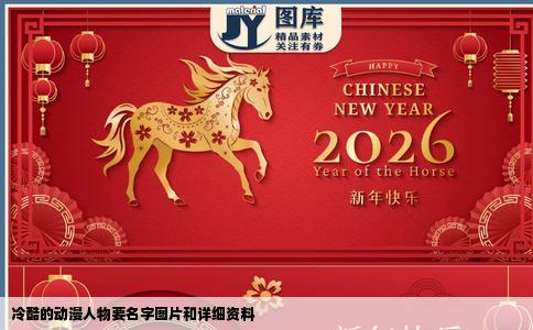 冷酷的动漫人物要名字图片和详细资料