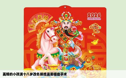 离婚的小孩满十八岁改名换姓需要哪些手术