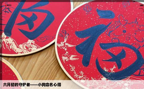 六月初的守护者——小狗命名心得