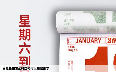 冒险岛里怎么打空格可以用做名字