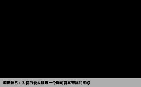 萌宠福名：为你的爱犬挑选一个既可爱又带福的昵称