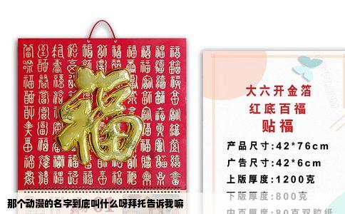 那个动漫的名字到底叫什么呀拜托告诉我嘛