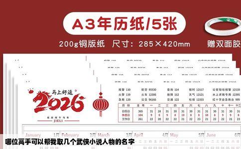 哪位高手可以帮我取几个武侠小说人物的名字