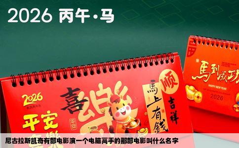 尼古拉斯凯奇有部电影演一个电脑高手的那部电影叫什么名字
