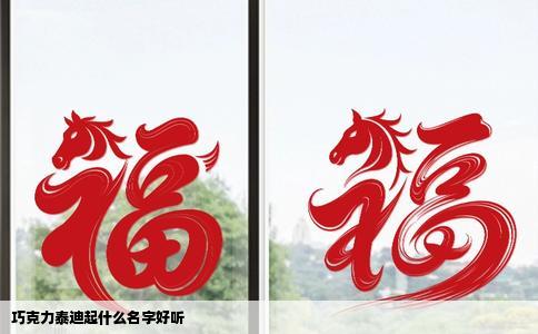 巧克力泰迪起什么名字好听