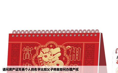 请问房产证写两个人的名字比如父子将来如何办理产权