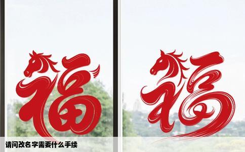 请问改名字需要什么手续