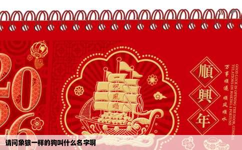 请问象狼一样的狗叫什么名字啊