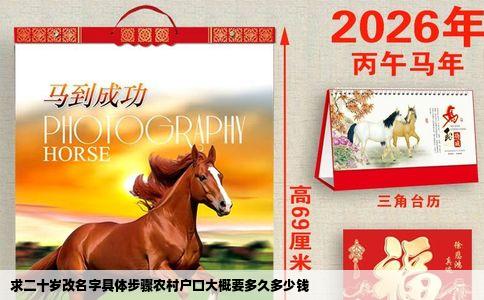 求二十岁改名字具体步骤农村户口大概要多久多少钱