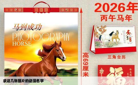求这几张图片的动漫名字