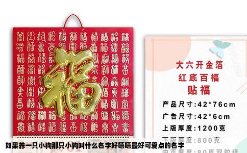 如果养一只小狗那只小狗叫什么名字好嘻嘻最好可爱点的名字