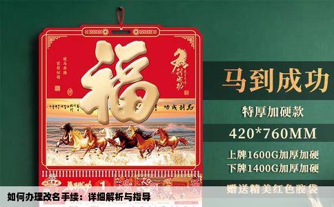 如何办理改名手续：详细解析与指导