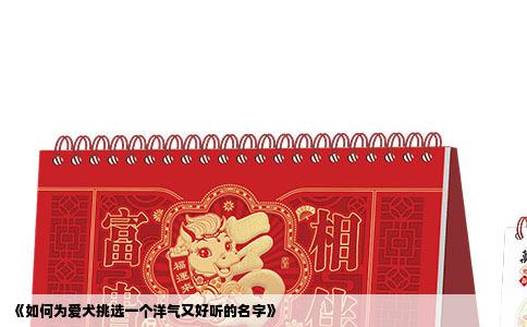 《如何为爱犬挑选一个洋气又好听的名字》