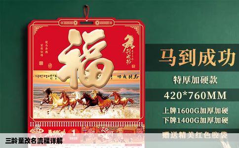 三龄童改名流程详解