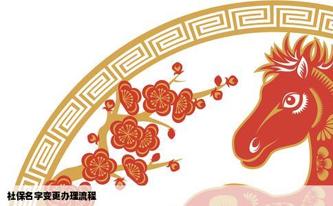 社保名字变更办理流程