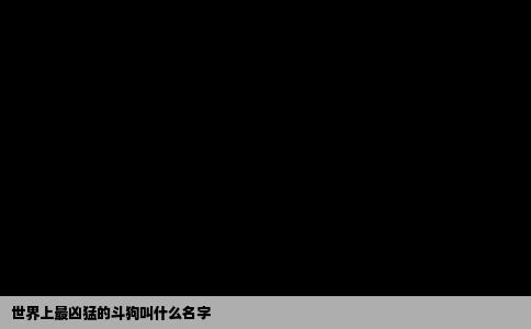 世界上最凶猛的斗狗叫什么名字