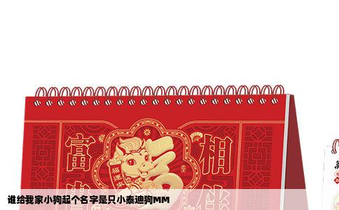 谁给我家小狗起个名字是只小泰迪狗MM