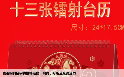 泰迪狗狗名字的独特选择：响亮、好听且充满活力